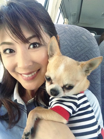 成全在线观看免费完整版电影